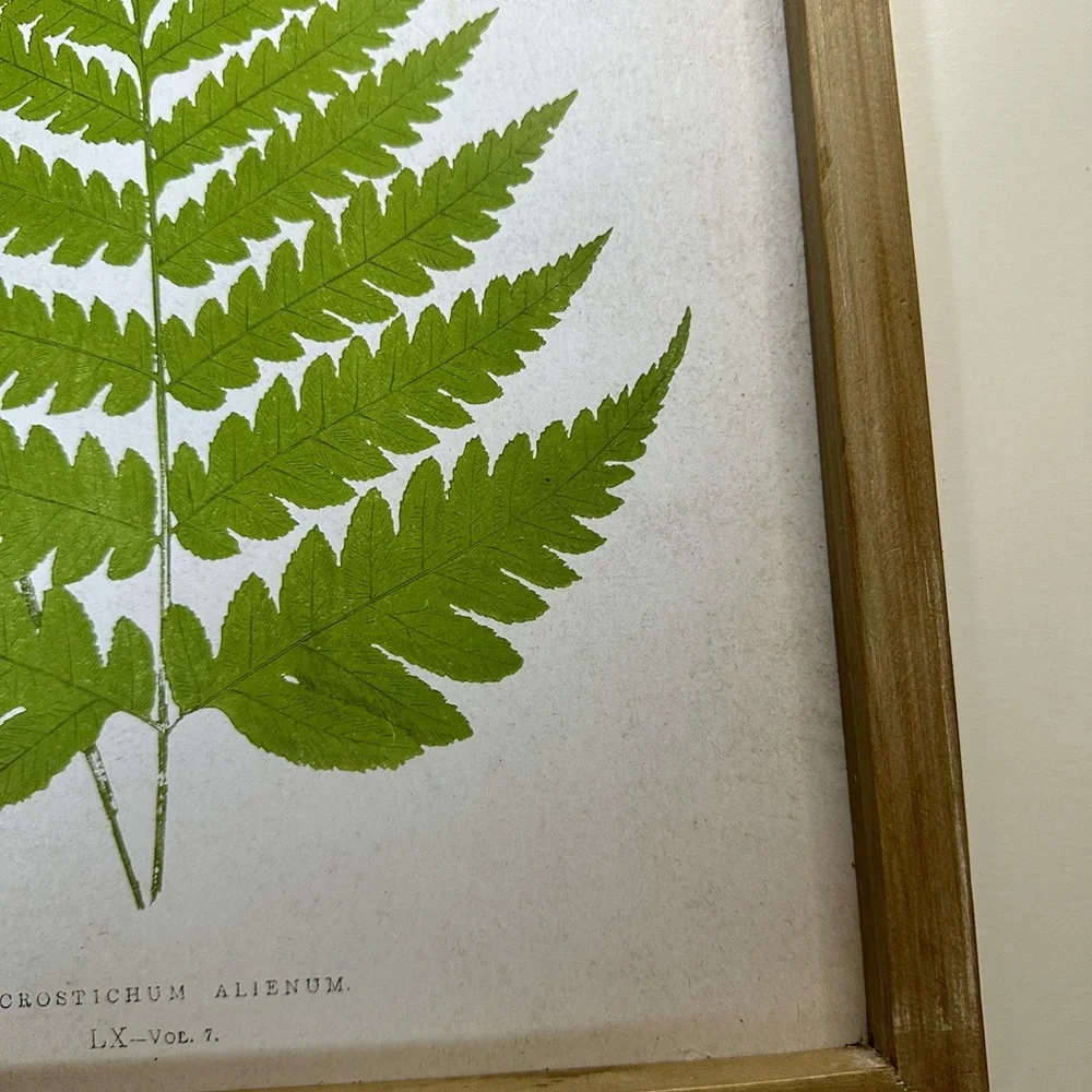 New Framed Green Fern Botanical Minimalistic Modern Herbal Wall Art